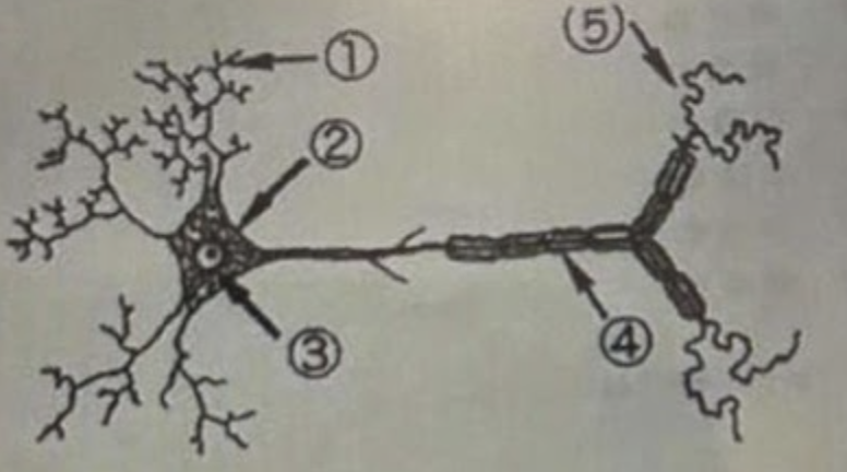 <p>4 is the…..</p>