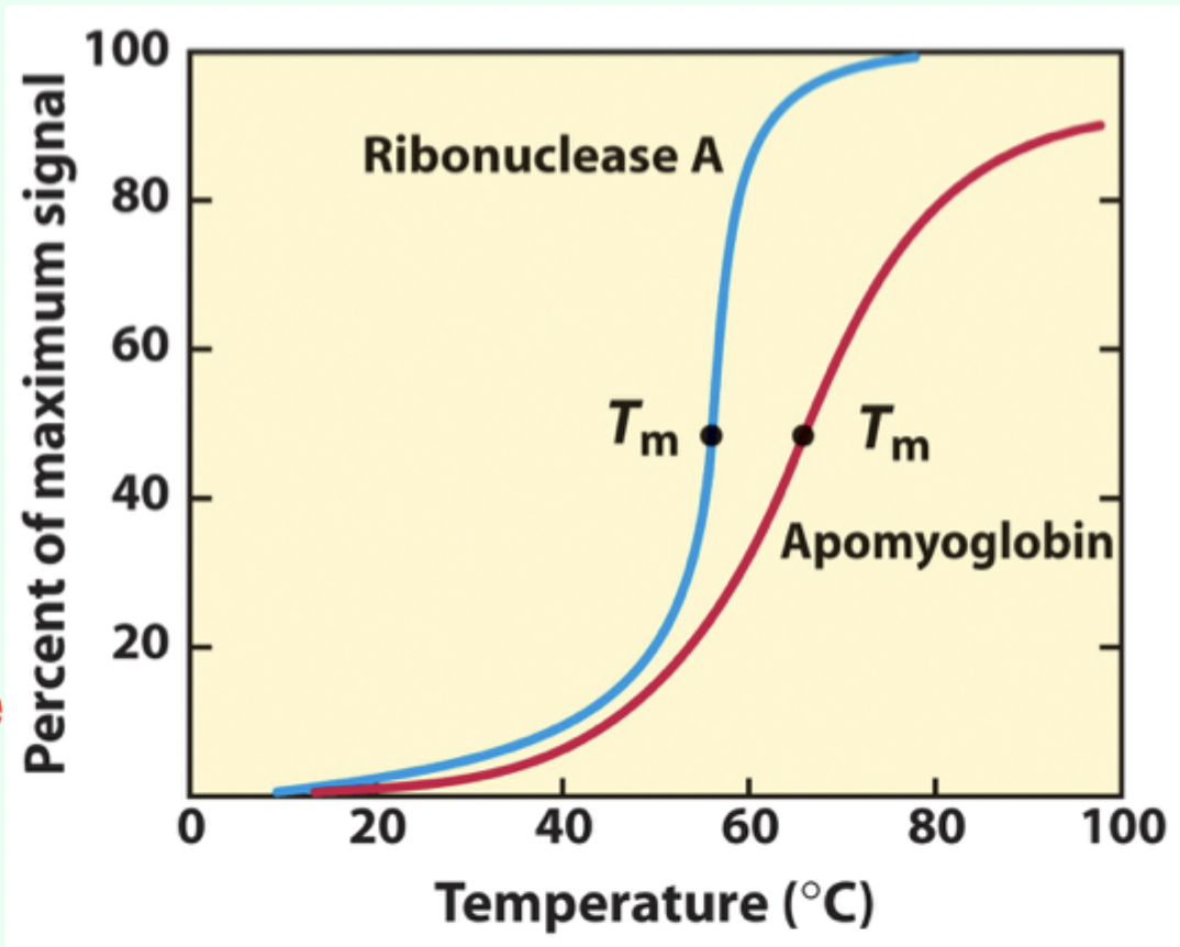 <p>The midpoint temperature where denaturation occurs.</p>