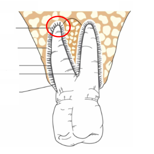 <p>What is this?</p>