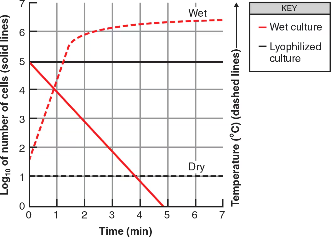 <p>To determine the lethal action of microwave radiation, two 10<sup>5</sup> suspensions of <em>E. coli</em> were prepared. One cell suspension was exposed to microwave radiation while wet, whereas the other was lyophilized (freeze-dried) and then exposed to radiation. The results are shown in the following figure. Dashed lines indicate the temperature of the samples. </p><p>What is the most likely method of lethal action of microwave radiation? </p><p>How do you suppose these data might differ for <em>Clostridium</em>?</p>