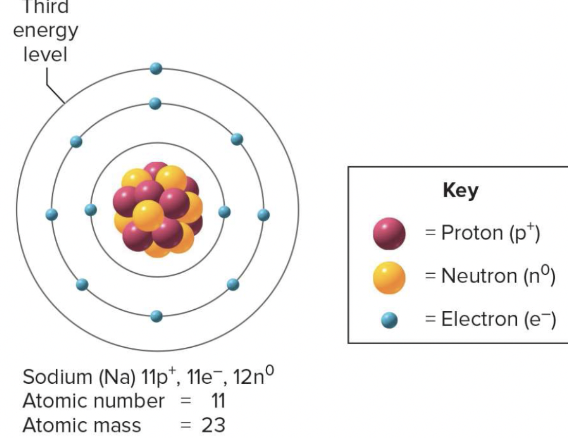 <p><span data-name="laughing" data-type="emoji">😆</span></p>