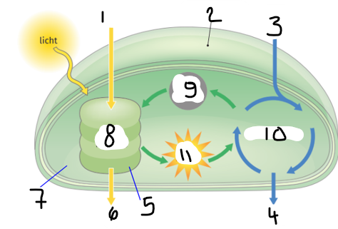 <p>Benoem de onderdelen: 1</p>