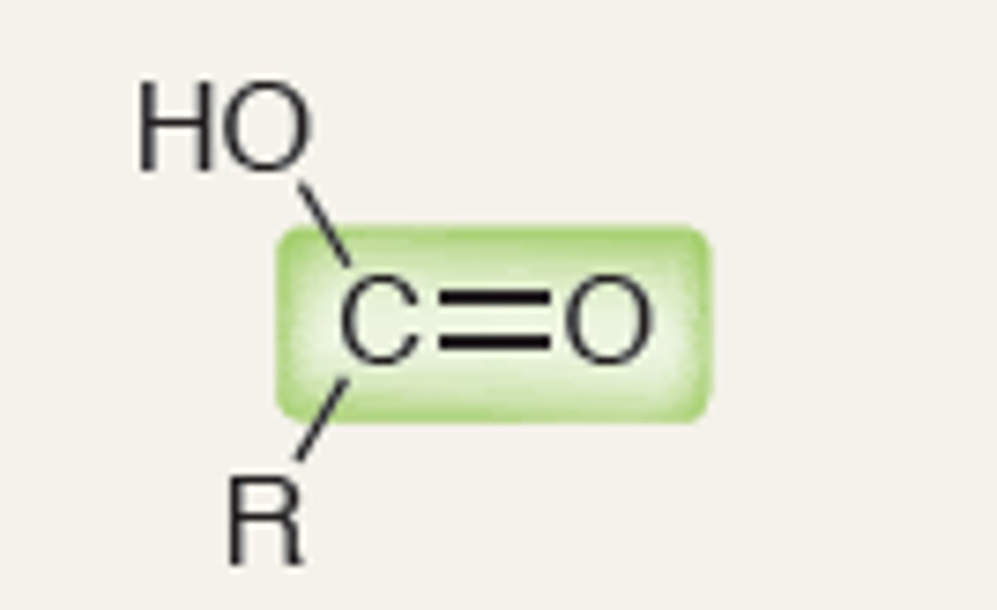 <p>Carboxylic Acid</p>