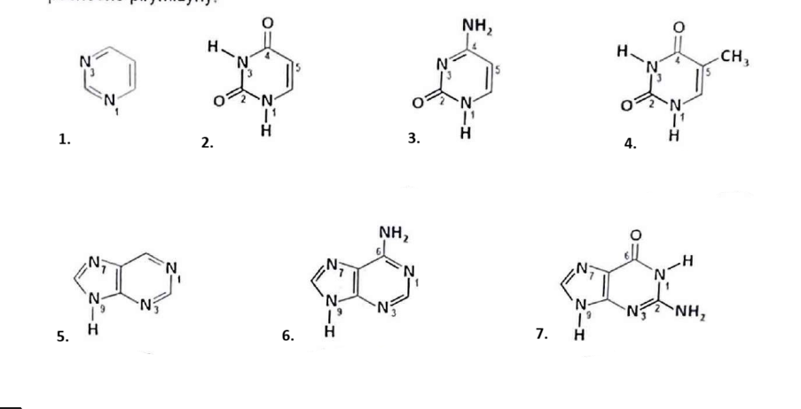 <p>Związek o nazwie tymina oznaczony jest numerem:</p>