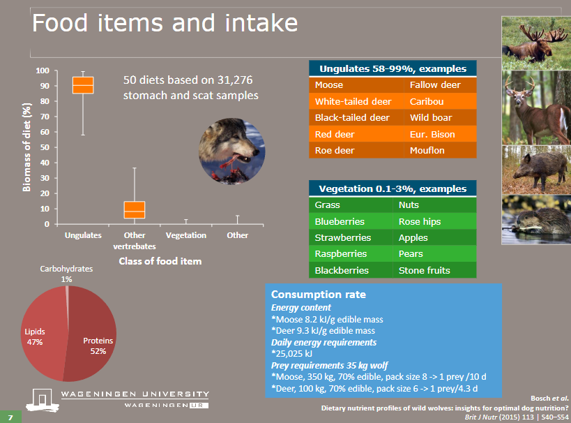 <p>ungulates , vegetation</p>