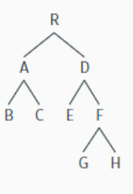 <p>explain the structural terminology - this is a long one good luck</p>