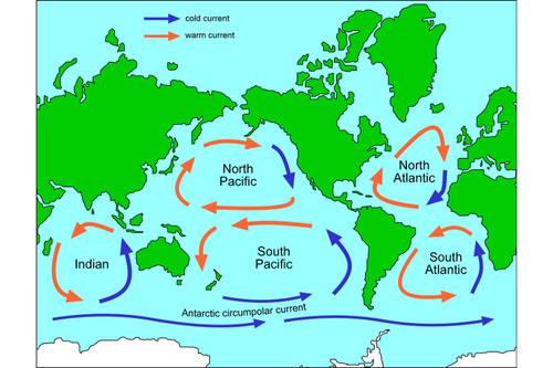 a circular motion of water in each of the major ocean basins