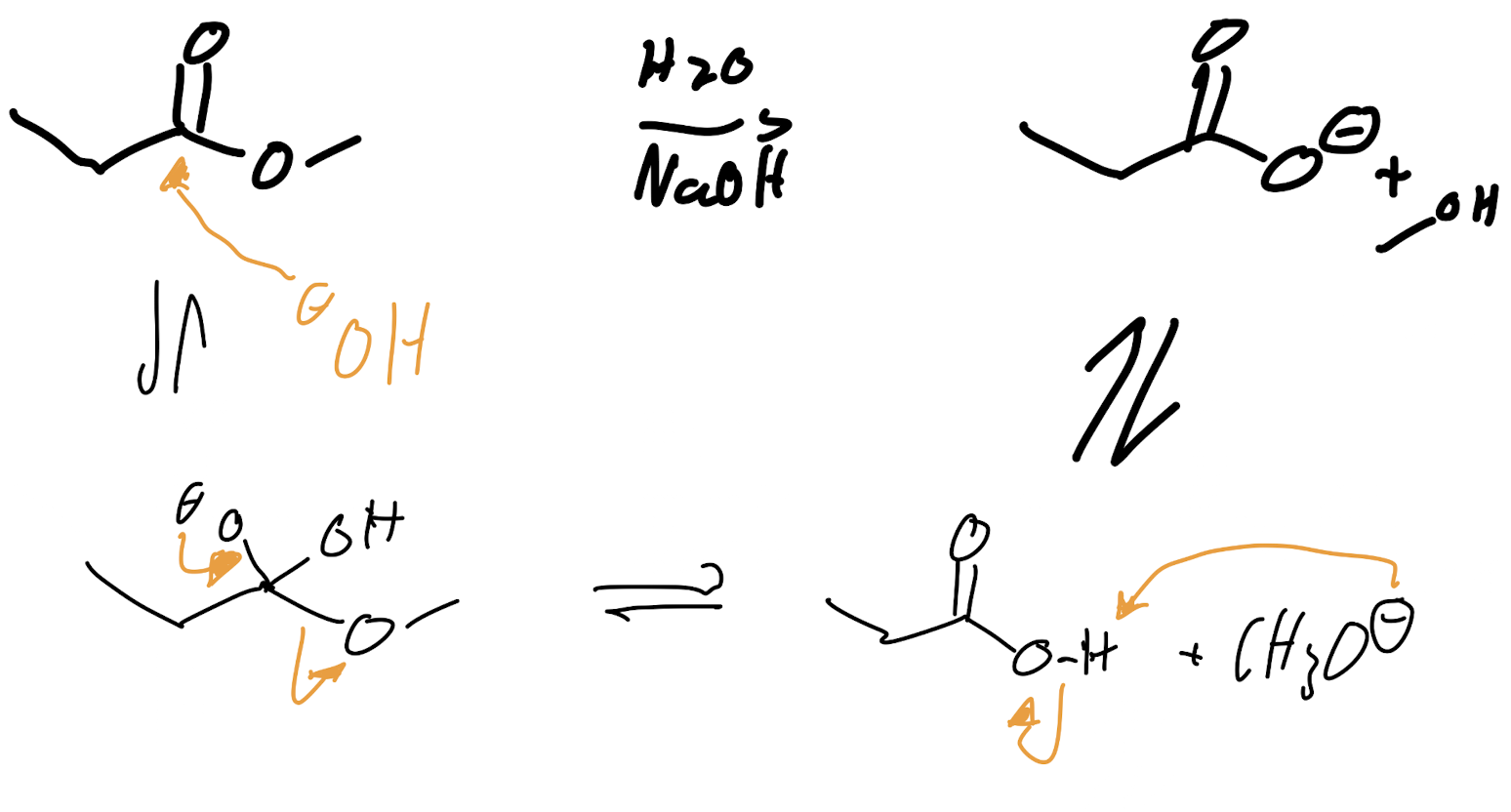 <p>Esters with H2O - Basic Conditions</p>