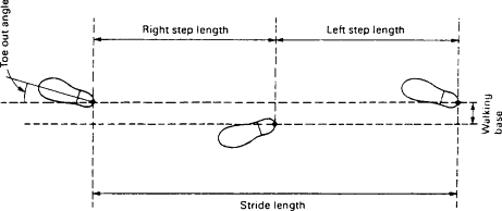 <p>an angle between the line of progression and a line drawn between the midpoints of the calcaneus and the second metatarsal head</p>