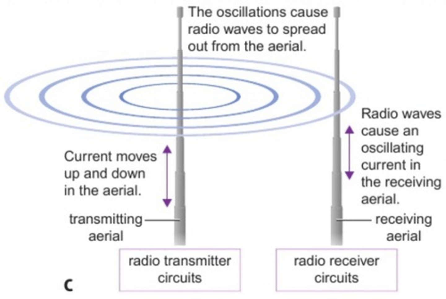 <p>Radio waves can themselves produce oscillations and induce an alternating current in an electrical circuit when they are absorbed</p>