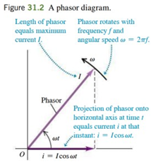 <p>The instantaneous value of a quantity that varies sinusoidally with tie is represented by the projection on to a horizontal axis of a vector o Length = amplitude of the quantity Vector rotates counterclockwise with constant angular speed (ω)</p>