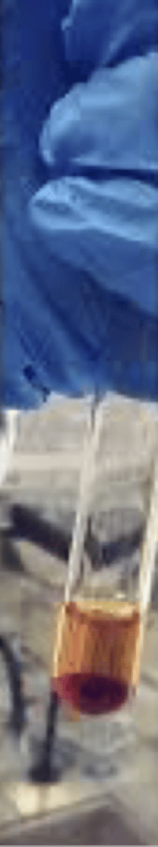 <p>•To standardize, place 30.0mL of 0.1N Silver nitrate in a 250ml Erlenmeyer flask. Dilute with 50mL of water.</p><p>•Add<strong> 2mL of nitric acid</strong> and <strong>2mL of ferric ammonium sulfate TS.</strong></p><p>•Titrate the ammonium thiocyanate solution until first appearance of <strong>red-brown</strong> color.</p><p>•Calculate the Normality.</p>