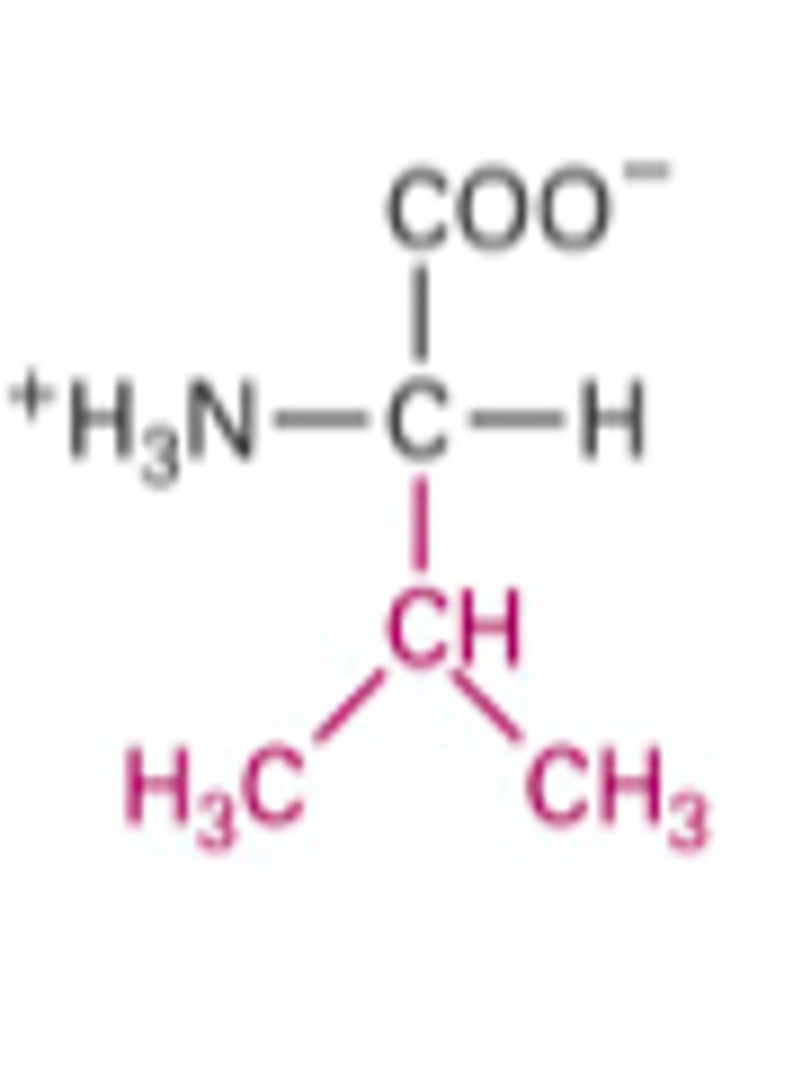 <p>What Structure is this?</p>