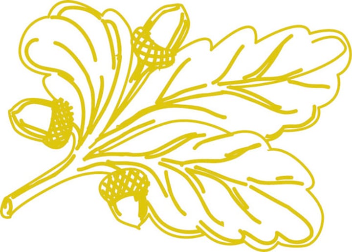 <p>A gold embroidered sprig of three oak leaves and three acorns</p>