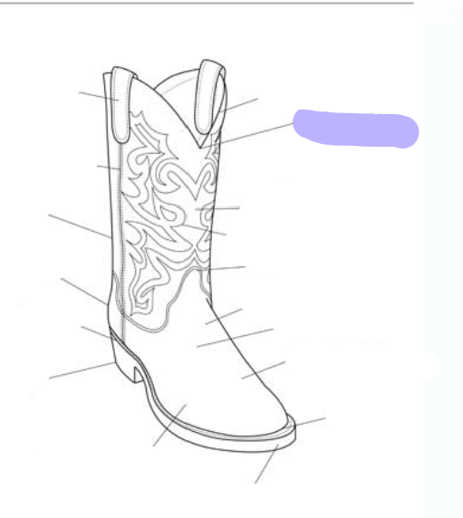 <p>What part of the boot is this? (labeled in purple)</p>