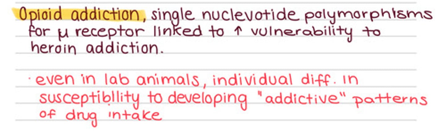 <p>Often affect neurotransmitter systems or drug sensitivity</p>