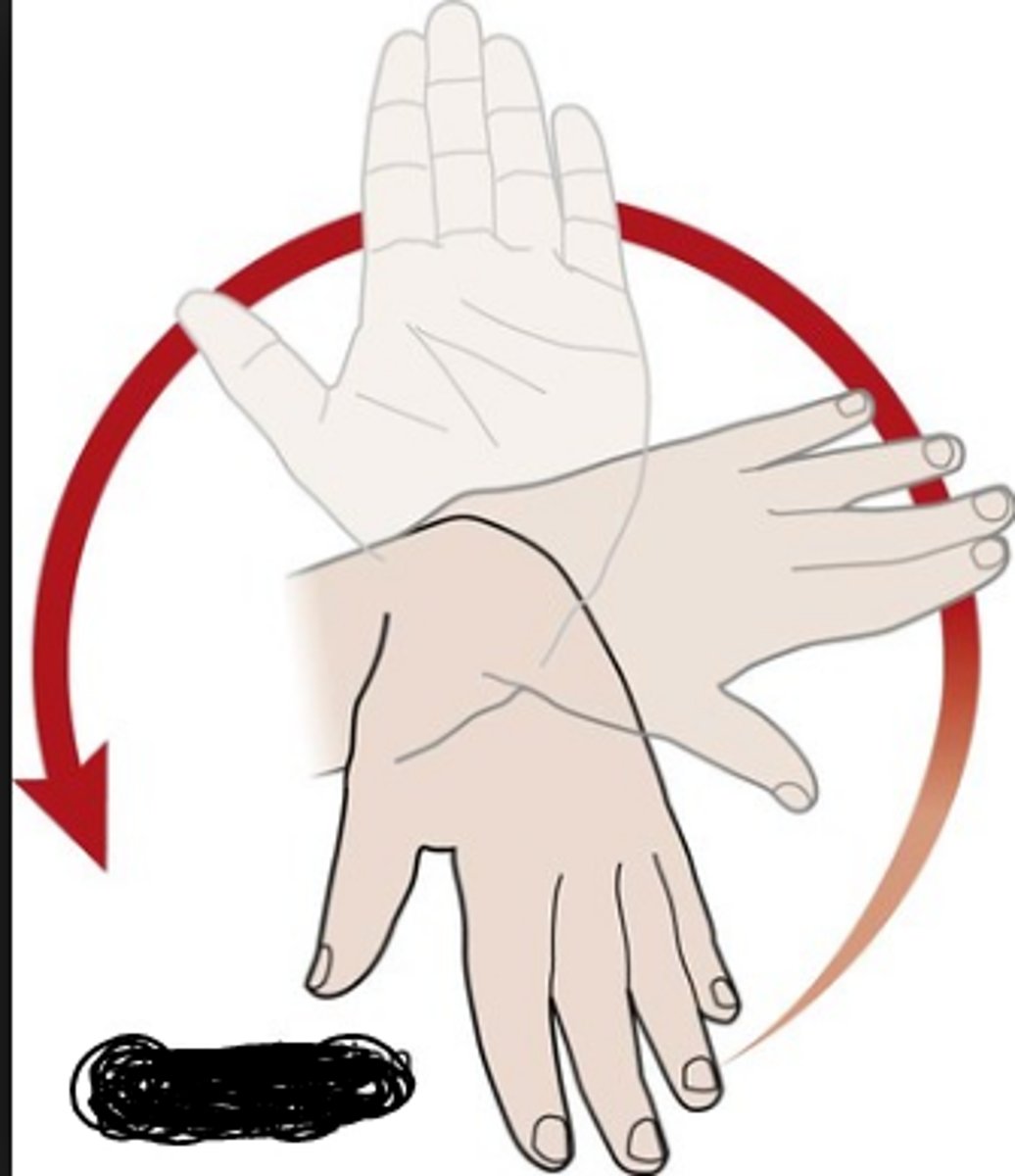 <p>radoiocarpal</p>