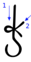 term image