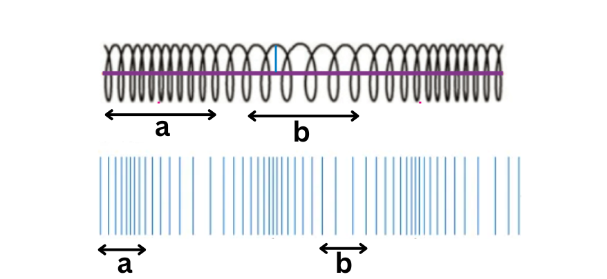 <p><span style="color: rgb(0, 0, 0);"><span>Label This Diagram</span></span></p><p><span style="color: rgb(0, 0, 0);"><em><span>Longitudinal Wave</span></em></span></p>