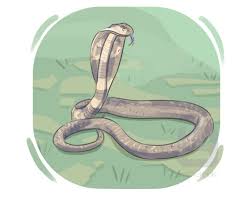 <p><strong>slither</strong> </p>