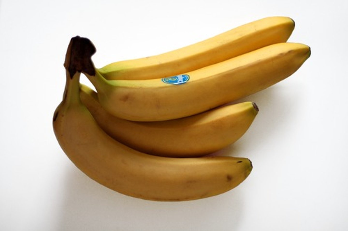 <p>BANANAS</p>