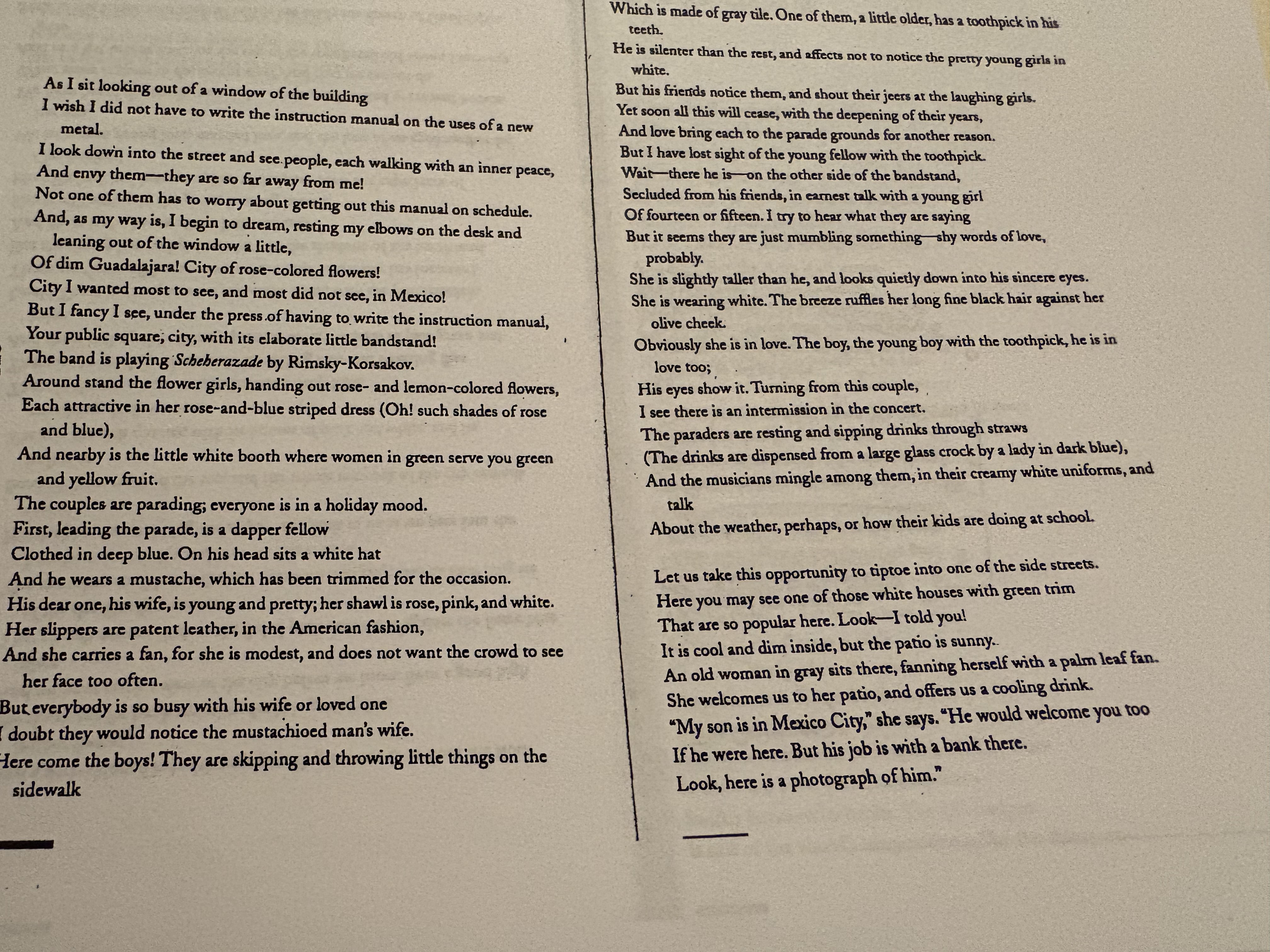 <p>The instruction manual</p>