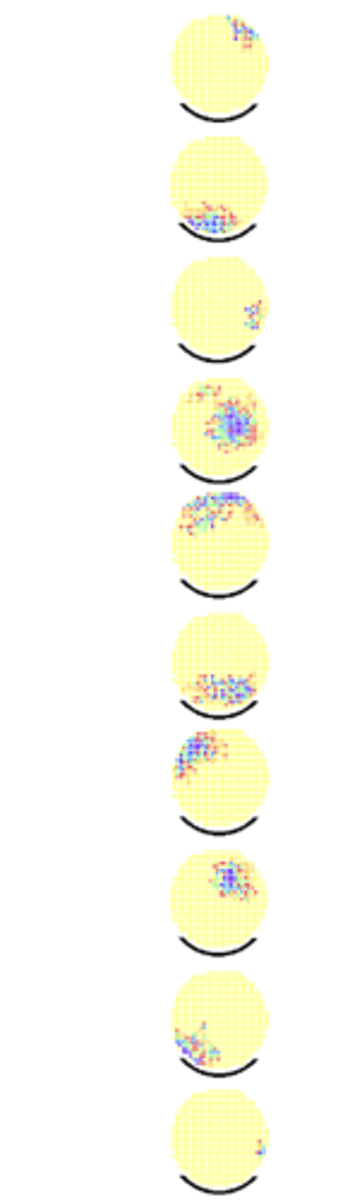 <p>yes, they shift with shifts in distal cues<br>- ex: shifting with black 'curtain'<br>- oriented in relation to various landmarks</p>