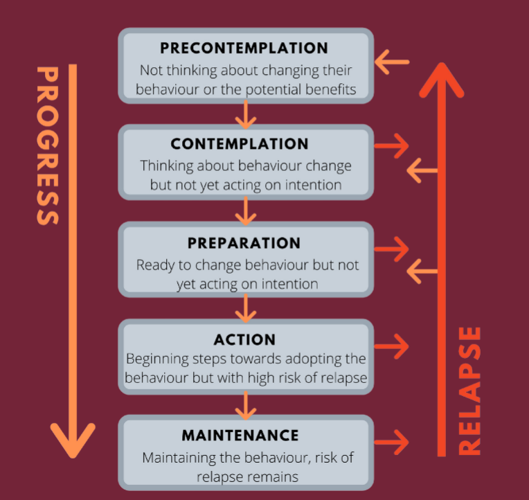 <p>Transtheoretical Model</p>