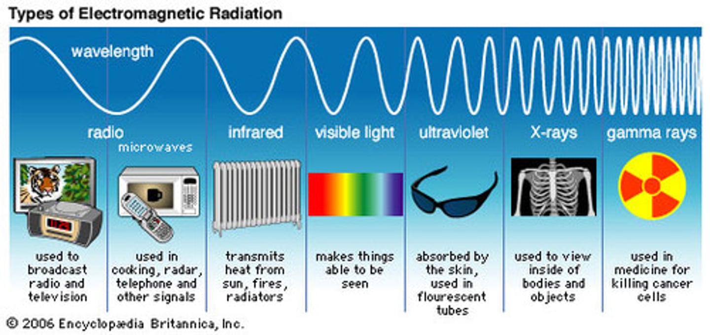 <p>invisible light to humans (causes sunburns and suntans)</p>