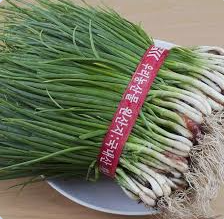 <p>hành lá </p>