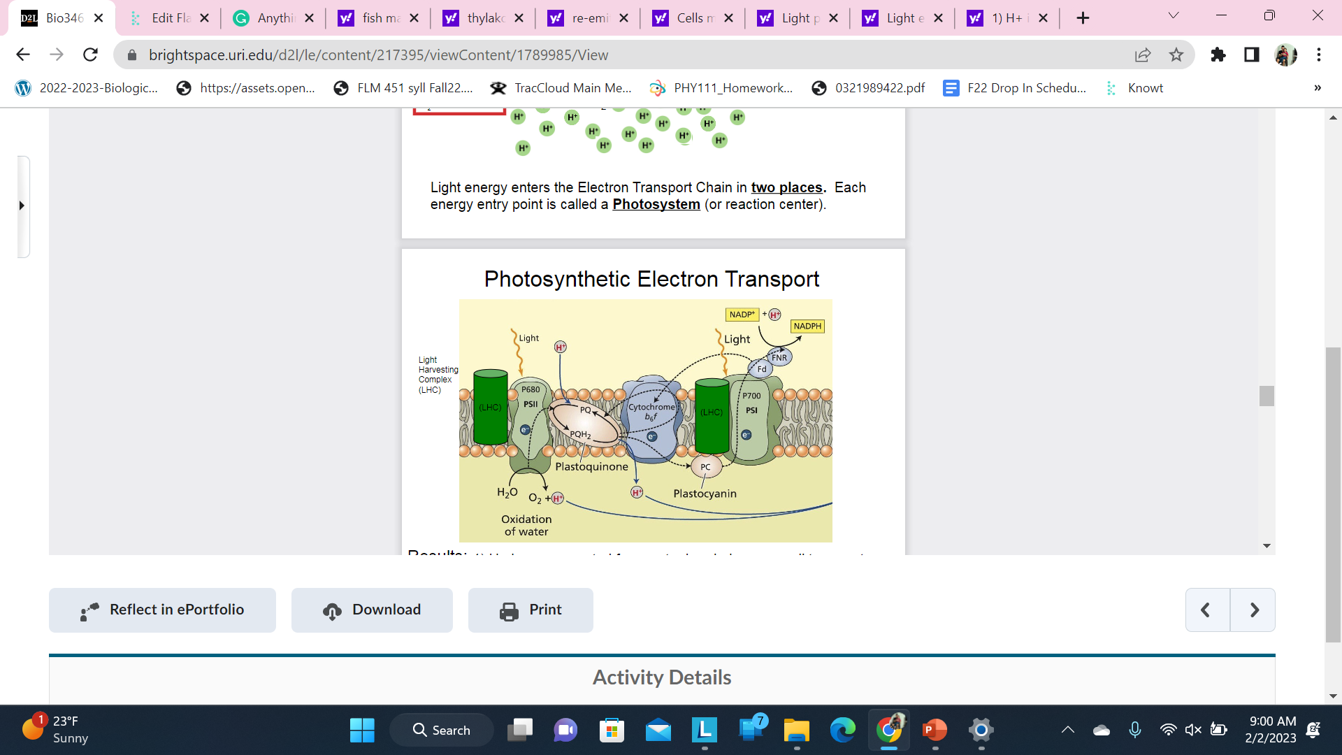 Results:


1. H+ ions are created from water break down as well transport across the membrane into the thylakoid lumen. (creates a gradient that can do work!)
2.  2) Creates reduced NADPH (high energy)