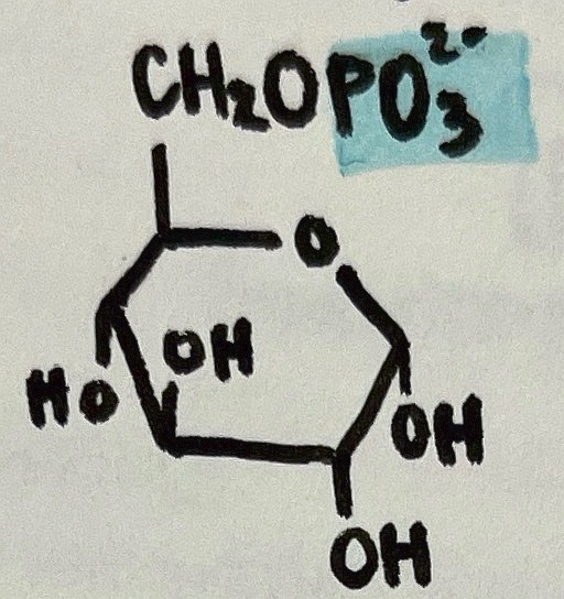 <p>name the following intermediate</p>