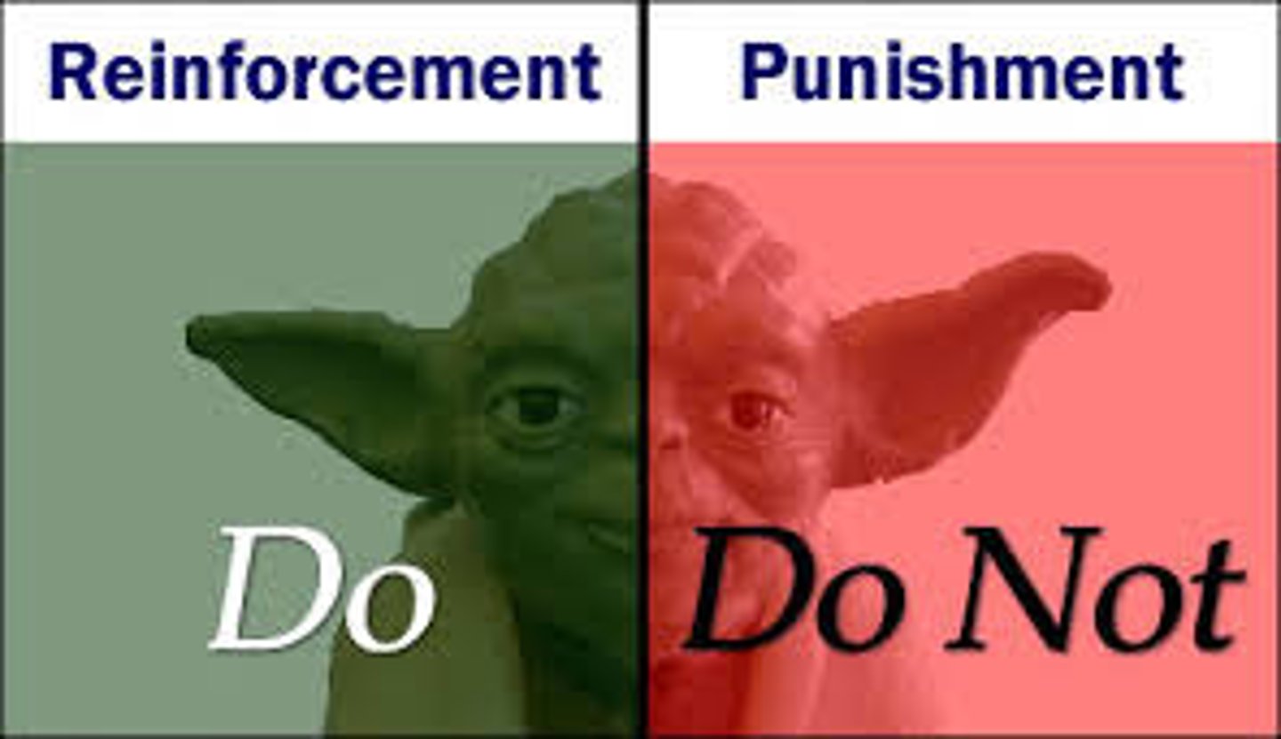 <p>Focus on environmental factors that shape behavior. OBSERVABLE behaviors (not internal/thinking). These include antecedents that trigger a behavior or the consequences from rewards and punishment.</p>