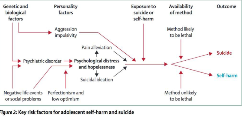 <ul><li><p><span>Worldwide, about one million people die by suicide per year, 10- 20 million attempts</span></p></li><li><p><span>11.3 per 100,000 people in Canada</span></p><ul><li><p><span>17.8 in males, 5.1 in females</span></p></li><li><p><span>Second highest cause of death in people aged 10-24</span></p></li><li><p><span>Highest single cause of death in boys 15-19</span></p></li></ul></li><li><p><span>In North America, suicide is considerably more common in rural than urban environments</span></p><ul><li><p><span>Availability of methods, geographical barriers to help seeking, culture of independence, stigma, privacy concerns, economic changes</span></p></li><li><p><span>Suicide clusters and suicide pacts</span></p></li></ul></li><li><p>SAD PERSONS (sex, age, depression, previous attempt, excess alcohol or substance, rational thinking lost, social supports lacking, organized plan, no spouse, sickness)</p></li><li><p><5 is low risk, >6 is high risk</p><p><span><br></span></p></li></ul><p></p>