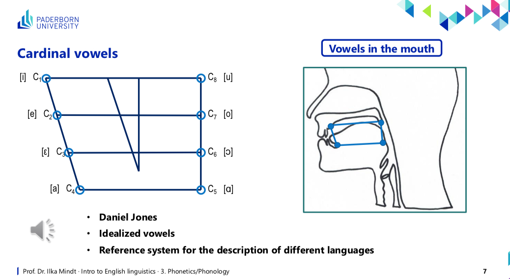 <p>[i], [e], [ε], [a], [u], [o], [ɔ], [ɑ]</p>