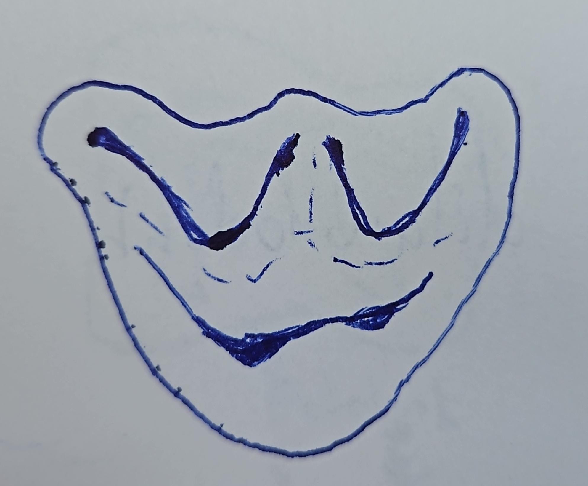 knowt flashcard image