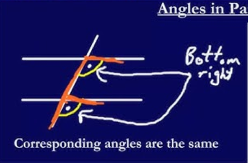 <p>corresponding angles are equal</p>