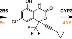 <p>what metabolite of efavirenz is this</p>
