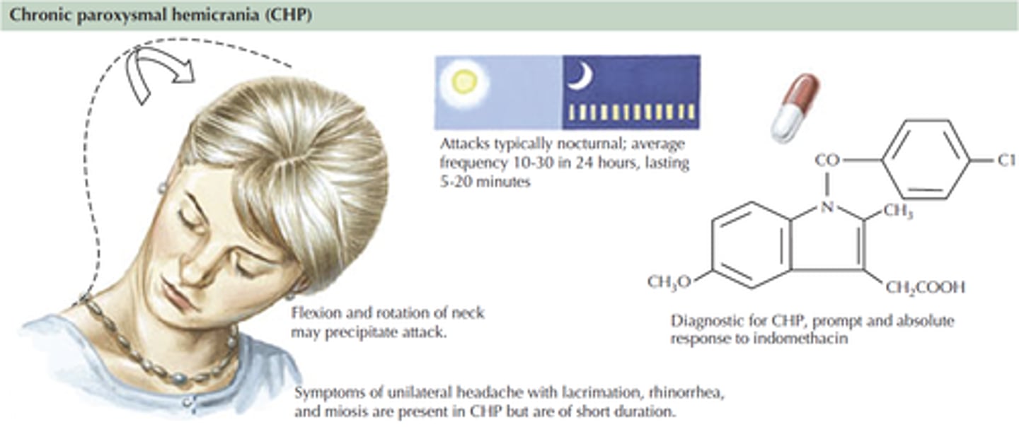 <p>Cluster-type headache that occurs with more daily frequency (4 to 12/day) but with shorter duration (20-120 minutes)</p>