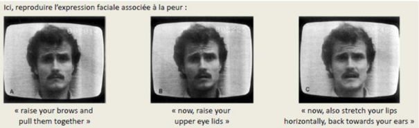 -on demande aux sujets de reproduire les expressions faciales associées à 6 émotions différentes : la surprise, le dégout, la tristesse la colère, la peur et la joie
-les sujets doivent aussi reproduire une séquence de mouvements des muscles de la face dictée par les expérimentateurs sans savoir explicitement de quelle émotion il s'agissait (ex pour la peur : lever vos sourcils et rapprochez les. Ecarquillez les yeux et étirez vos lèvres horizontalement vers vos oreille)
-on mesure plusieurs variables physiologiques : fréquence cardiaque, température cutanée, réponse galvanique, tonus musculaire dans le biceps brachial