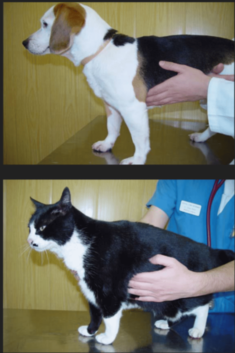 <p>what are we feeling here?</p>