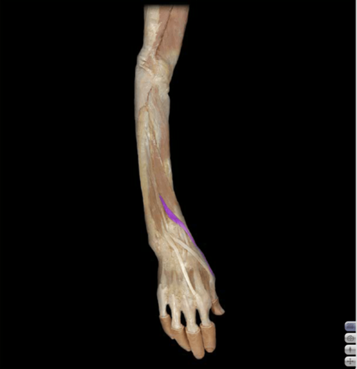 knowt flashcard image