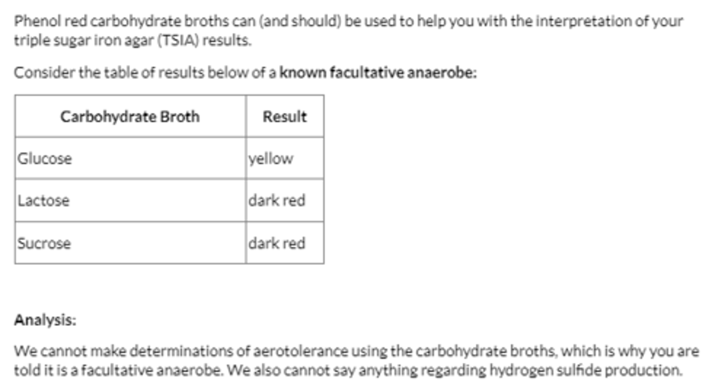 <p>based on the phenol red carbohydrate results, we can make some logical conclusions regarding how our TSIA tube should look. In terms of sugars, the results from the carbohydrate broths indicate that our bacteria uses glucose only. the use of glucose created acid by-products that decrease the pH, which would initially make the entire TSIA tube yellow. </p><p>glucose is the least abundant sugar in TSIA at 0.1%, meaning it was depleted quickly in slant where bacteria grew rapidly in the presence of oxygen. because our carbohydrate broths indicate the bacteria cannot use lactose or sucrose, the bacteria will utilize the peptones in the TSIA slant once glucose is depleted, which increase the pH and results in a red color.</p>
