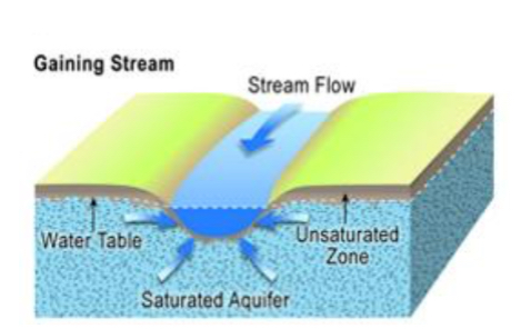 <p>Effluent (gaining stream)</p>