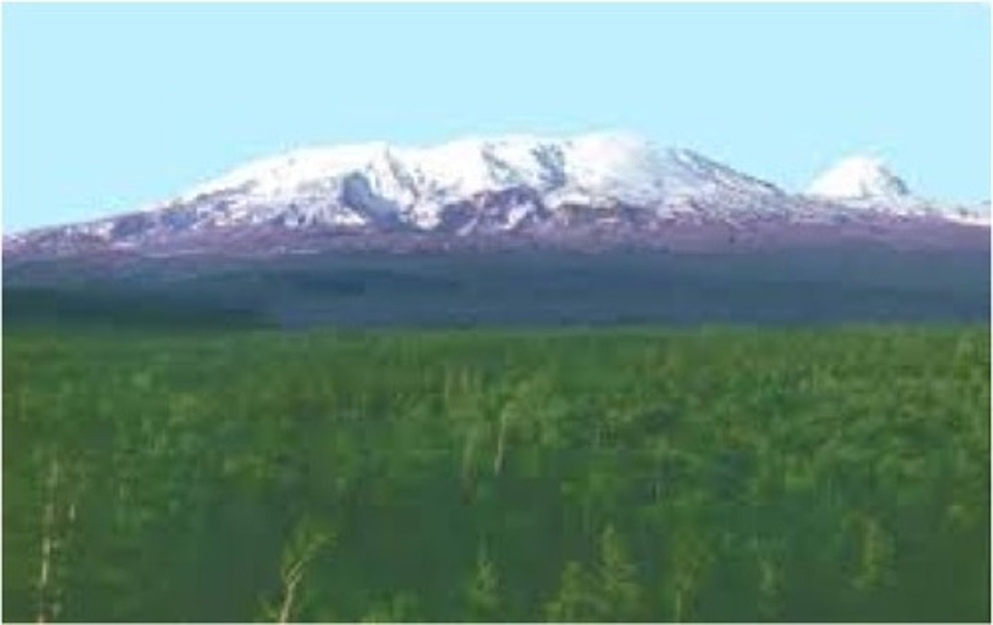 <p>Low viscosity, slow build up and basic lava. eg. Hawaiian Islands</p>