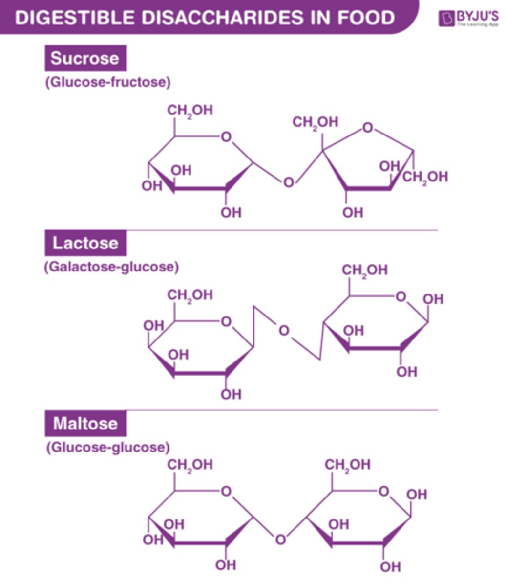 <p>Maltose (Glucose + Glucose), Lactose (Glucose + Galactose), Sucrose (Glucose + Fructose)</p>