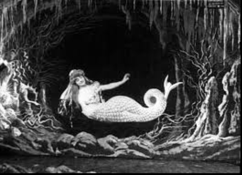 <p>Film Identification </p>