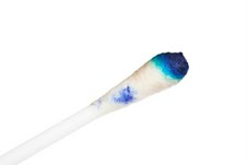 <p><span><span>The oxidase test is used to classify bacteria based on the presence or absence of cytochrome oxidase enzyme in an unknown organism. Here are the results of your oxidase test. What can you conclude?</span></span><br></p>