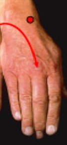 <p>Which special movement is:</p><ul><li><p>Rotates foremen, radius over ulna</p><ul><li><p>Turns palm downs</p></li></ul></li></ul><p></p>