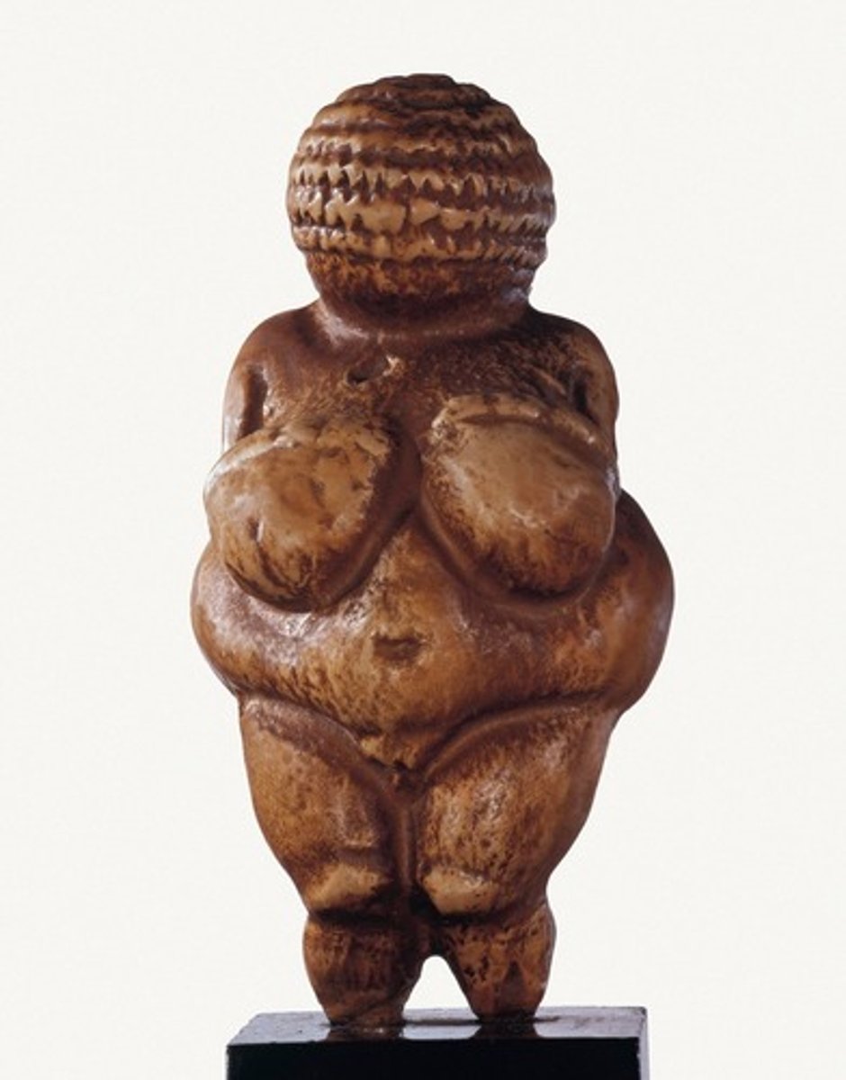 <p>Paleolit</p>